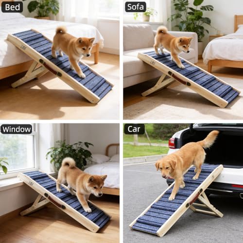 ZJSF Foldable Wooden Dog Ramp for High Bed, Dog Stairs for Small Dogs, High Traction Platform with 4 Adjustable Heights (5"-20.4"), 31.5" L, Supports up to 70 lbs - size: 31.5"L X 12"W