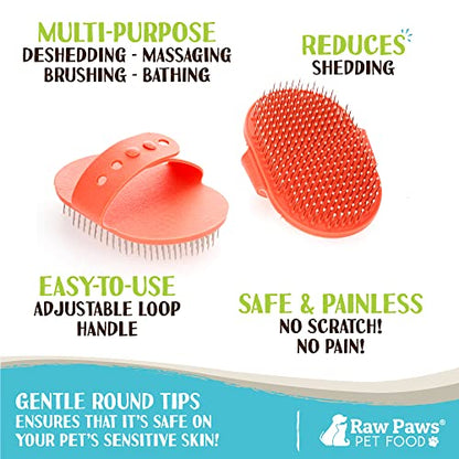 Raw Paws Grooming Brush for Dogs & Cats - Rubber Tipped Pin Brush, 1 ct | Deshedding Brush - Short & Long Hair - Gentle Detangler - Hand-Held Pet Grooming Tool - Massage Brush
