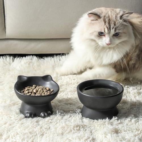 Nihow Slanted Elevated Cat Bowls: 5 Inch Ceramic Raised Cat Food Bowl for Protecting Pet's Spine - Microwave & Dishwasher Safe -Matte Black (4.5 OZ /1 PC) - color: Matte Black, size: 4.5 OZ