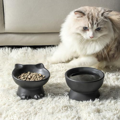 Nihow Slanted Elevated Cat Bowls: 5 Inch Ceramic Raised Cat Food Bowl for Protecting Pet's Spine - Microwave & Dishwasher Safe -Matte Black (4.5 OZ /1 PC) - color: Matte Black, size: 4.5 OZ