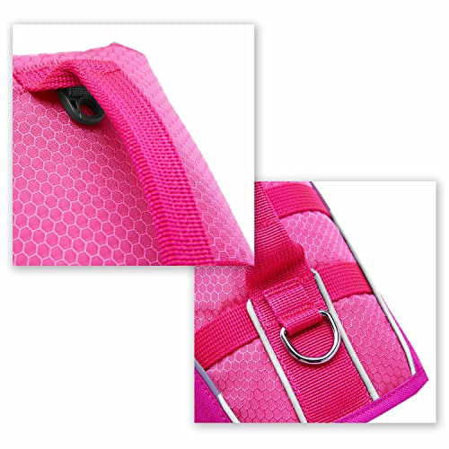 Blueberry Pet 2023 New Reflective Dog Life Jacket for Flotation, Pink and Fuchsia, Large, Fashion Pet Swimming Vest, Life Saver with Adjustable Strong Handle - color: Pink and Fuchsia, size: Large