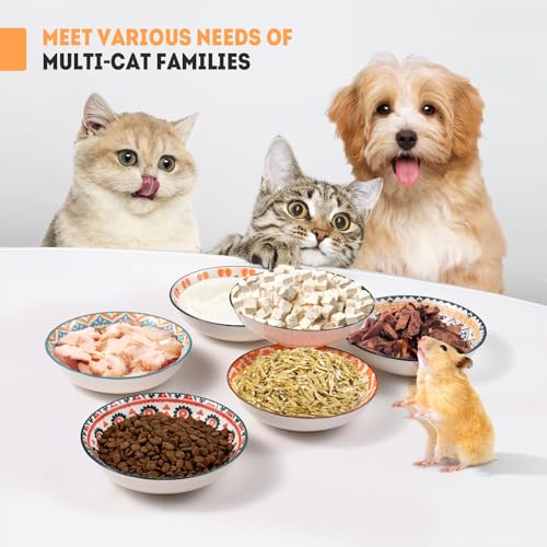 YEAHGO Cat Bowls Ceramic Cat Food Bowl for Indoor Cats and Kittens, 5.5" Anti Whisker Fatigue Cats Dishes, Shallow Wide Plates Cute Pet Feeding Bowls for Food and Water,6 Pack - size: Boho–6 Pack