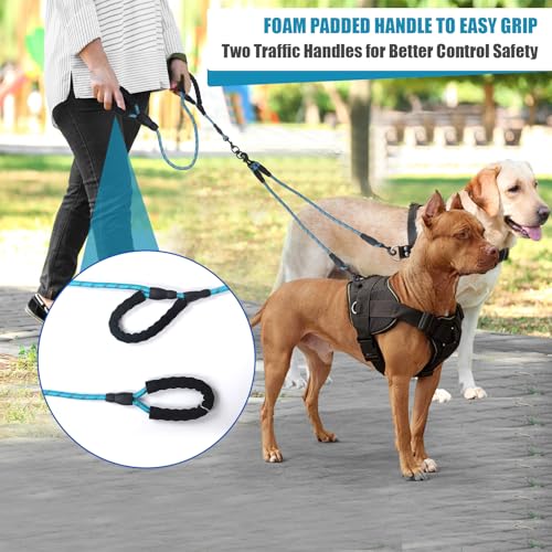 Dual Dog Leash,Two Way Dog Leash, Small Dogs, and Medium Dogs,Exceptional 360° Anti-Tangle & No Pull Double Leash - Double Handle & Reflective Safety & Convenience (Blue, 2 Way) - color: Blue, size: 2 Way
