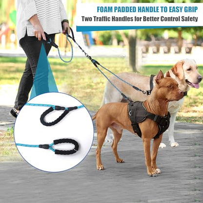 Dual Dog Leash,Two Way Dog Leash, Small Dogs, and Medium Dogs,Exceptional 360° Anti-Tangle & No Pull Double Leash - Double Handle & Reflective Safety & Convenience (Blue, 2 Way) - color: Blue, size: 2 Way