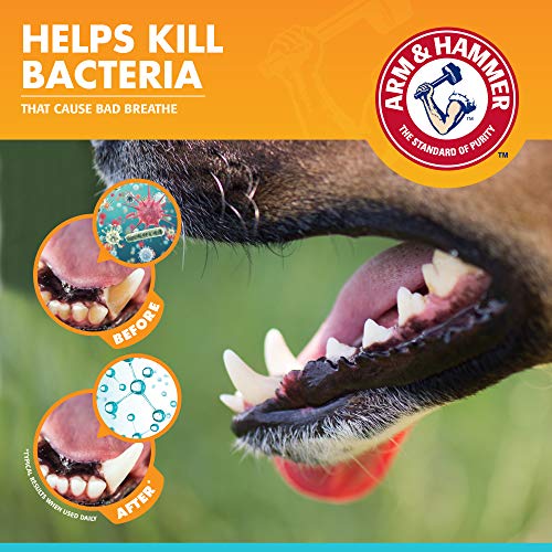 Arm & Hammer for Pets Enzymatic Dog Dental Care Kit, Chicken Flavor Toothpaste with Baking Soda for Plaque, Tartar, and Bad Breath, Double-Sided Toothbrush and Finger Brush Included, 2.5 Oz - 48 Pack - size: 2.5 Ounce (Pack of 48)