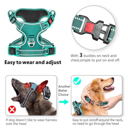 Timos Dog Harness Small Sized, No Pull Pet Harness with Neck Lockable Snap, No Choke Front Clip Reflective Vest, Adjustable Metal Rings 3 Buckles, Easy Control Handle for Small Dogs Grass Green S - color: Lock Grass Green, size: Small (Pack of 1)
