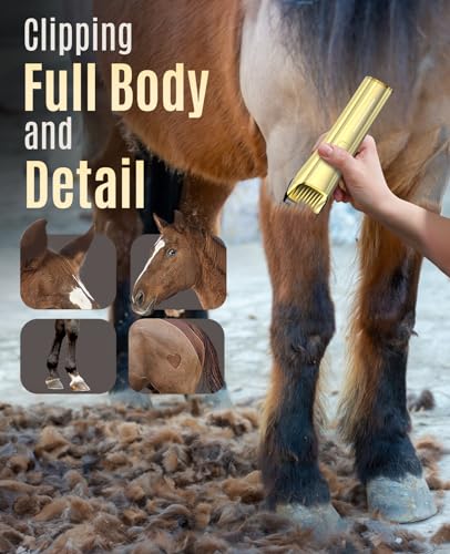 oneisall Cordless Horse Clippers,Low Noise 2 Speed Grooming Clippers,Horse Trimmer Shaver Kit for Matted Long Hair,Detachable Stainless Steel Blade Grooming Kit for Thick Coat | Detachable stainless steel blades, ultra-quiet, Horse Trimmer Shaver Kit with