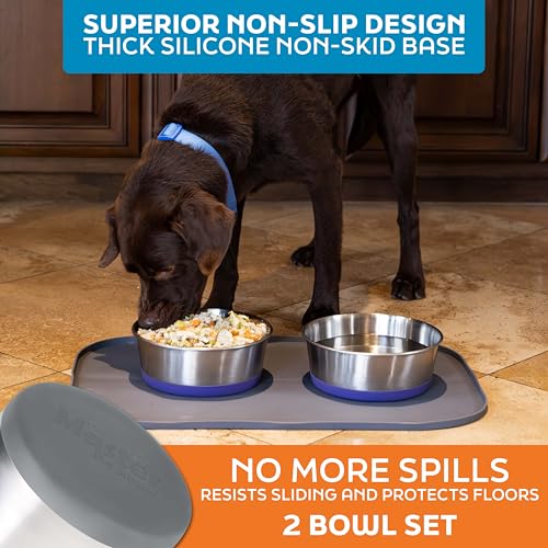 Master Pet Supply Stainless Steel Dog Bowls Set of 2 with Extra Thick Silicone Base - 8 Cup (64 oz) Graphite, Non-Slip, Dishwasher Safe Metal Bowls, Pet Dog Food Bowl for Dogs, Cats, Anti Rust - color: Graphite, size: 8 Cups (64 oz) 2 Pack