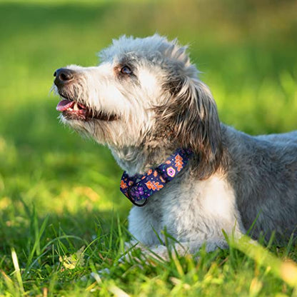 CollarDirect Martingale Dog Collar Heavy Duty Nylon Slip Collars for Small Medium Large Dogs [Nylon, Patterned, Navy Blue, L, 15"-20"] - color: Navy Blue, size: Large (Neck Size 15"-20")