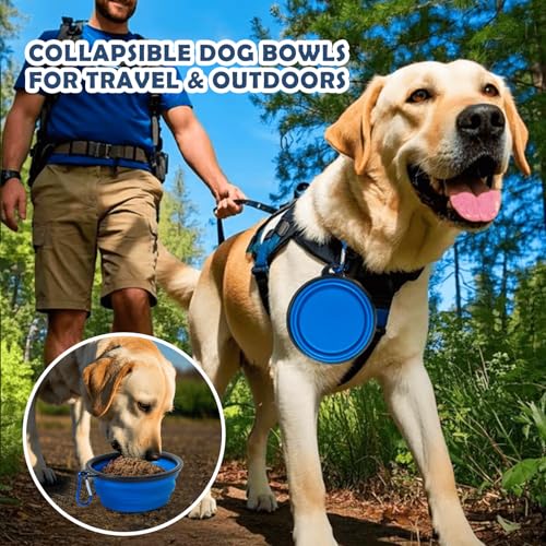 30 Inch Portable Dog Crate, Collapsible Dog Travel Crate for Indoor and Outdoor Use, 3-Door Foldable Soft Kenne with Mesh Windows, Warm Blanket and Foldable Bowl - size: 30.0"L x 21.0"W x 21.0"H