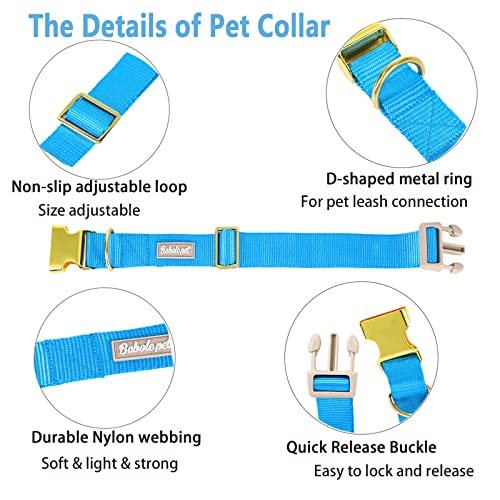 Nylon Dog Collar - Adjustable Blue Soft Webbing Dog Collars for Small Medium Large Dogs Boy Girl Puppy Collar with Safety Metal Buckle XS - color: Nylon-Blue, size: XS
