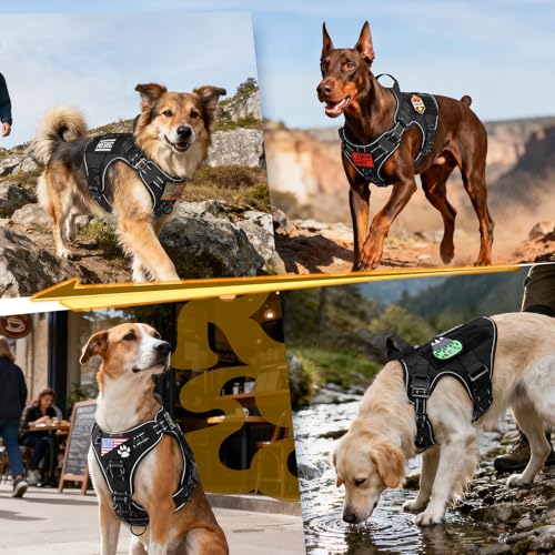 rabbitgoo Tactical Dog Harness Small Sized, No Pull Upgraded Reflective Heavy Duty Molle Vest with Handle, Adjustable Military Service Dog Vest for Walking Hiking Training, Black, S - color: Black Reflective, size: Small