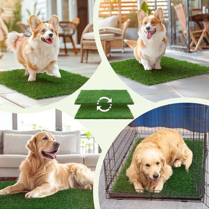 LOOBANI Dog Grass Pee Pads, Artificial Dog Grass Pads for Potty Tray, Fake Grass for Dogs to Pee On, Outdoor Indoor Pee Grass for Dog Potty (18*28 inch) - size: 18*28 inch