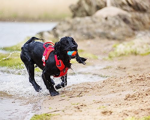 Chuckit! Amphibious Fetch Balls, Set of 3, Medium (Pack of 12) - size: Medium (Pack of 12), style: Fetch Balls (Pack of 3)