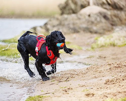 Chuckit! Amphibious Fetch Balls, Set of 3, Medium (Pack of 12) - size: Medium (Pack of 12), style: Fetch Balls (Pack of 3)