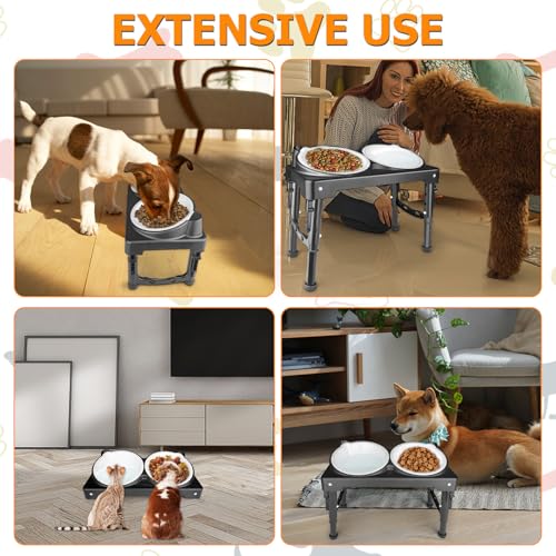 Elevated Dog Bowls Collapsible for Large Size Medium Small Dogs, 2 Raised Dog Bowls for Food Water &1 Slow Feeder Bowl, 5 Heights Adjustable Bowl Stand with Non-Slip Feet