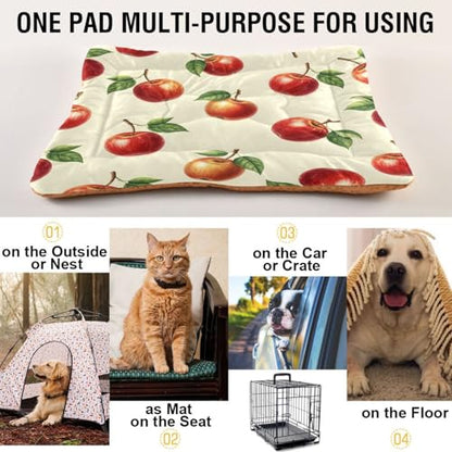 Apples Pattern Pet Bed Mat for Dogs and Cats, Soft Washable Crate Pad with Non-Slip Bottom, Cozy Bed Cushion for Small Medium Large Pets, 24x36 Inch - size: Medium