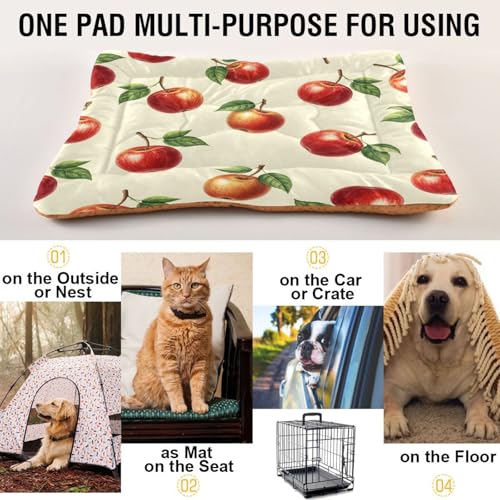 Apples Pattern Pet Bed Mat for Dogs and Cats, Soft Washable Crate Pad with Non-Slip Bottom, Cozy Bed Cushion for Small Medium Large Pets, 24x36 Inch - size: Medium