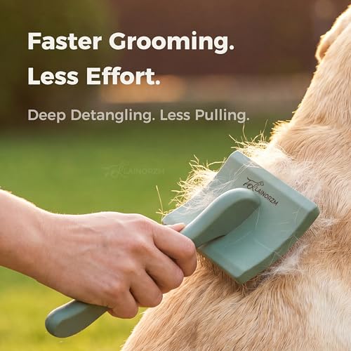 Slicker Brush for Dogs - Professional Long Pin Doodle Grooming Brush for Goldendoodles, Poodles, Labradoodles - Detangle, Fluff & Dematting Tool for Wavy & Curly Hair (Large Curved)