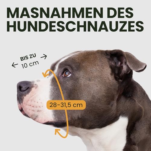 BRONZEDOG Pitbull Dog Muzzle Metal Mask Amstaff Wire Basket Pit Bull Adjustable Leather Straps for Large Dogs (Brown) - color: Leather, Brown Metal