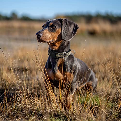 Hikiko Martingale Dog Collars Reflective Nylon Dog Collar with Quick Release Buckle Adjustable Training No Slip Dog Collar (Large, Brown) - color: Brown, size: Large