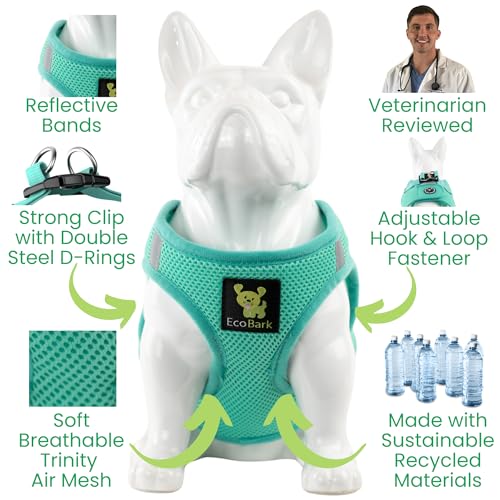 EcoBark Premium Teacup Dog Harness - Luxury Soft Tiny and Toy Breed Harness for Puppy - Mini Step in Vest Body Halter Under 5 lbs (XXXS, Mint) - color: Mint Turquoise, size: XXXS- 2 to 3 lbs- Chest up to 10 in (Pack of 1)