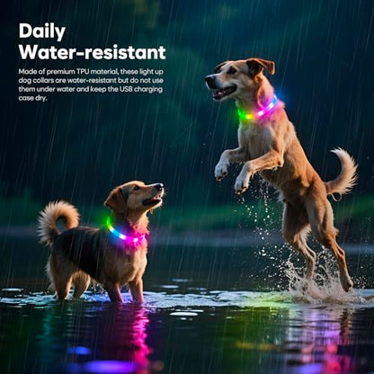 HIGO RGB LED Dog Collar Light - USB Rechargeable Light Up Dog Collars, Safety LED Dog Necklace for Your Dogs Walking at Night (Multi-Color) - color: Multi Color