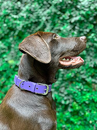 Tuff Pupper Classic Heavy Duty Dog Collar | 10x Stronger Than Leather | 100% Waterproof & Odor Proof Dog Collar | Tough Rust-Proof All Metal Hardware - color: Royal Purple