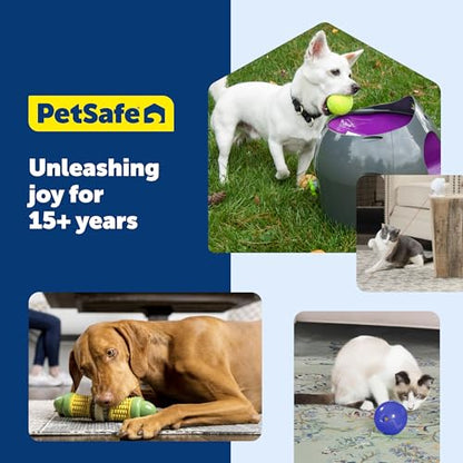 PetSafe Busy Buddy Tug-A-Jug Meal-Dispensing Dog Toy Use with Kibble or Treats Small