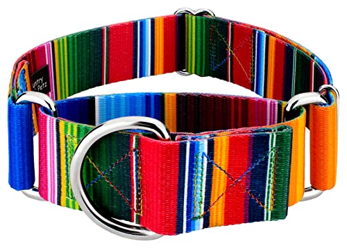 Country Brook Petz - HossFit Jr Wide Martingale Dog Collar - Country and Western Collection Featuring Rustic Designs (Serape, Large) - color: Serape, size: Large (Pack of 1)