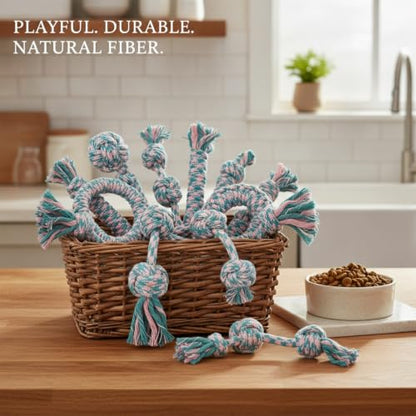 Dog Rope Chew Toys Set, 11-Pack Cotton Tug and Play Bundle for Small to Medium Dogs (Set of 11)