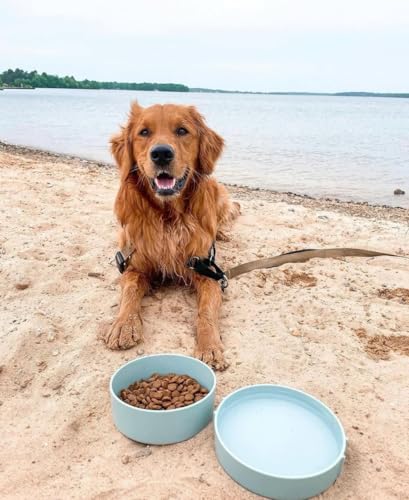Barkin’ Trails Travel Dog Bowls, Portable Outdoor Water, BPA-Free Water Bowl Set, Food Grade Plastic Dog Travel Bowl, Dog Camping Essentials, Travel Container - color: Icy Blue