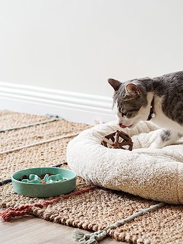 Ceramic Slow Feeder Dog Bowls Small Breed, 0.5 Cups Dog Food Dish for Fast Eaters, Puzzle Bowl for Small Dogs and Cats, 5.5 Inch-Turquoise - color: Turquoise