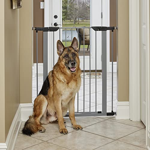 New World by Midwest 39" Steel Walk-Thru Dog Gate, Gray | Pressure Mounted, Expands 29.5"- 38" Wide, Auto-Close Door, Spring-Loaded Latch, Includes Two 3" Extensions - size: 39-Inch High