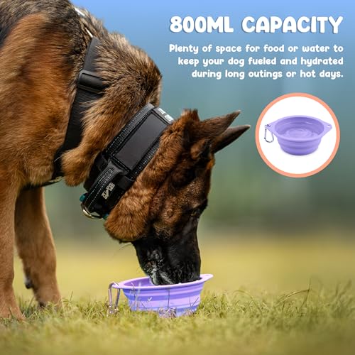 Collapsible Dog Bowl - 800ml/27 oz Portable Silicone Travel Water Bowl for Dogs with Carabiner | Foldable, Dishwasher Safe | Hiking, Camping Dog Essentials & Outdoor Pet Feeding - Purple - color: Purple