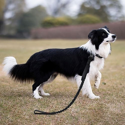EXCELLENT ELITE SPANKER Military Bungee Dog Leash Elastic Leads Rope with 2 Padded Control Handle for Medium and Small Dogs (Black) - color: Black