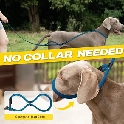 Fida 2-in-1 Slip Leads for Dogs with Double Handles, Tangle Free Leash for Large Dogs that Pull, Heavy Duty No Pull Training Leash Reflective Soft Padded for Large & Medium Breed(6ft,Blue) - color: Blue