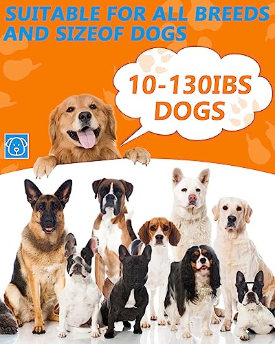 Dog Barking Control Devices, Anti Barking Device Ultrasonic Dog Barking Deterrent with 4 Modes, Stop Barking Dog Devices Up to 50 Ft Range, 2 in 1 Weatherproof Bark Control Device Outdoor Indoor | Multi-distance Intelligent Detection，Correct Bad Behaviors