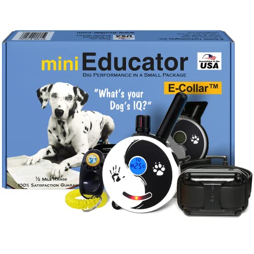 Educator ET-300 Zen Mini E Collar for Dog Training with Remote - 1/2 Mile Range, Waterproof, 100 Blunt Stimulation Levels, Tone or Vibration Mode, Night Light Tracking for Small, Medium & Large Dogs - size: 1-Dog (ET-300 ZEN)