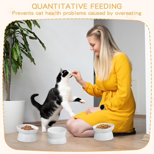 4 Pieces Plastic Tilted Elevated Cat Bowls Raised Cat Food Bowls Elevated Feeding Dish for Flat Faced Kitten Kitty Pets Supplies(White) - color: White