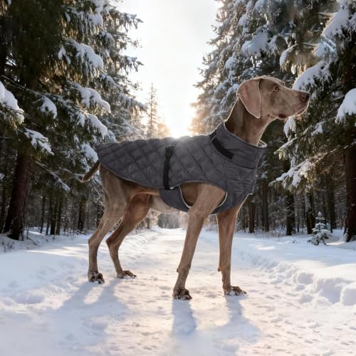 Kuoser Dog Coat Warm Fleece Lining Turtleneck Dog Jacket with Harness Built-in, Windproof Cold Weather Coats with Quick Release Buckle Pet Winter Snowsuit for Extra Large Dogs Great Dane, Grey 3XL - color: Grey, size: Xxx-large (Chest Girth: 42.5")