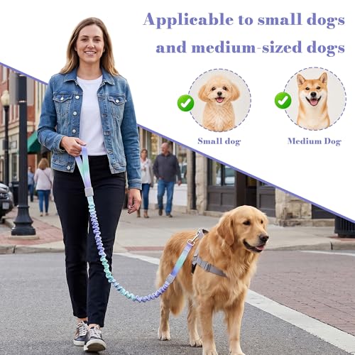 Dog Leash for Small to Medium Dogs, Shock Absorbing Dog Leashs, Dog Walking Leash, Dog Training Leashs, Ombre Color， 4-5.5 Feet(Violet-Green Ombré) - color: Violet-Green Ombré