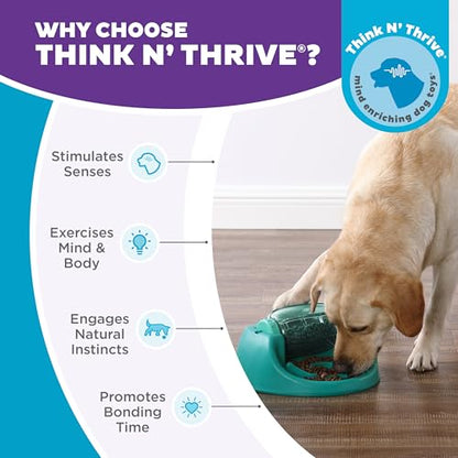 Outward Hound by Nina Ottosson Spin N' Eat Dog Puzzle and Slow Feeder, Level 2 Intermediate Enrichment Toy, Green