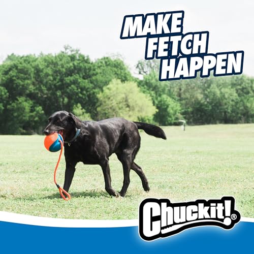 Chuckit! Rope Fetch Dog Toy - Ball on Rope Fetch and Tug-of-War Toy for Dogs - Durable EVA Rubber Construction - 5.5-inch Diameter - 18-inch Rοpe - Orange and Blue - size: One Size