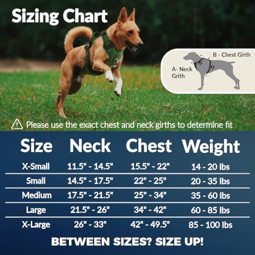No Pull Dog Harness - Durable Polyester Puppy Harness with Front Anti-Pull Loop, Reflective Strips, and Quick-Release Clips for Small, Medium, and Large Dogs (Berry Purple, Small) - color: Berry Purple, size: Small