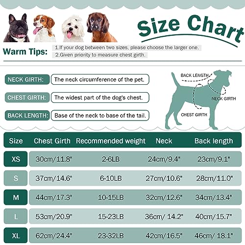 QBLEEV Dog Dress, Medium Puppy Sweaters - Warm, Soft Turtleneck Custom Holiday Sweaters for Dogs, Girls & Boys - color: Green, size: Large