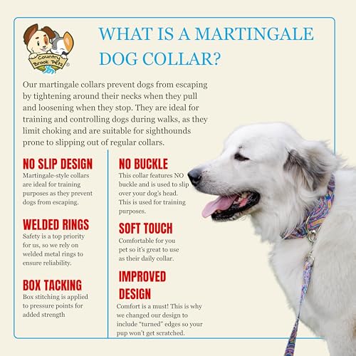 Country Brook Petz - HossFit Jr Wide Martingale Dog Collar - Groovy Collection Featuring Far Out Designs (Blue Boho Mandala, Extra Large) - color: Blue Boho Mandala, size: Extra Large (Pack of 1)