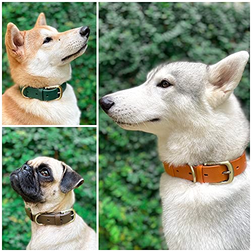 Tuff Pupper Classic Heavy Duty Dog Collar | 10x Stronger Than Leather | 100% Waterproof & Odor Proof Dog Collar | Tough Rust-Proof All Metal Hardware - color: Burnt Orange