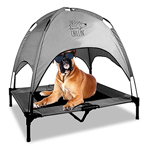 Floppy Dawg Just Chillin' Elevated Dog Bed. Cool Cot with Removable Canopy Shade. Indoor or Outdoor Pet Use. Lightweight and Portable. Chill in Style on Raised Breathable Mesh Fabric. - color: Large Gray