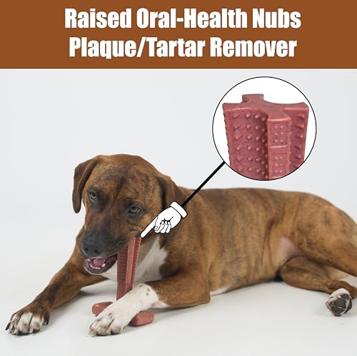 SPOT Bam-Bones Plus Coffee Wood T-Bone Dog Chew Toy, Beef Flavor, Nylon and Coffee Wood Fiber Blend, Durable Chew for Heavy Chewers and Dogs Under 60 lbs, Non-Splintering Dental Chew, 6 Inch - size: 6 Inch (Pack of 1)